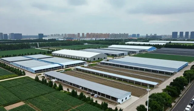 企业官网维护中短视频运营常见问题及应对策略